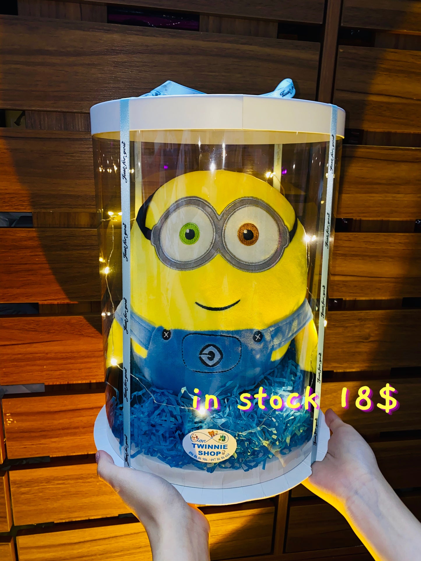 BB | Minion big set