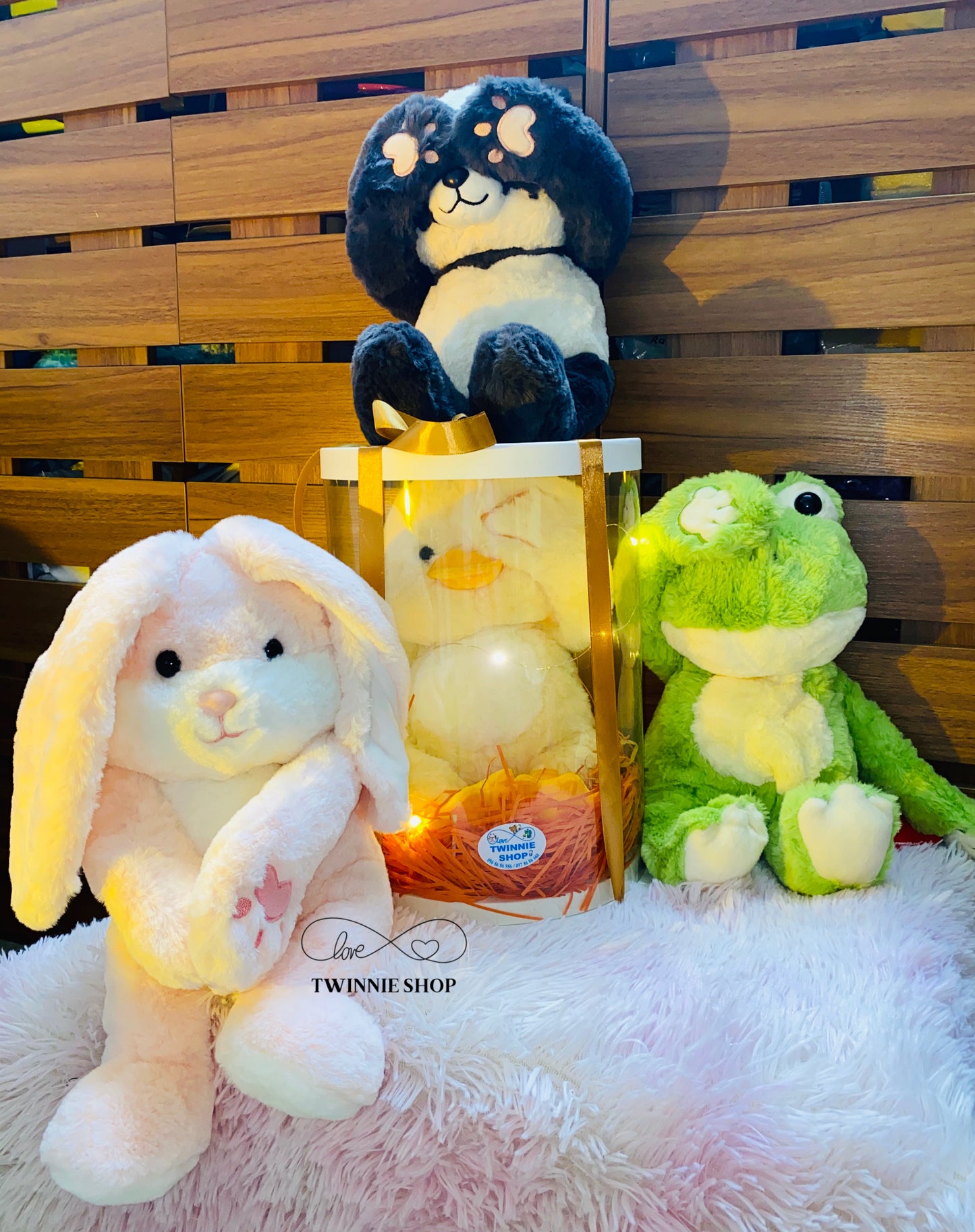 BT | Cute teddy