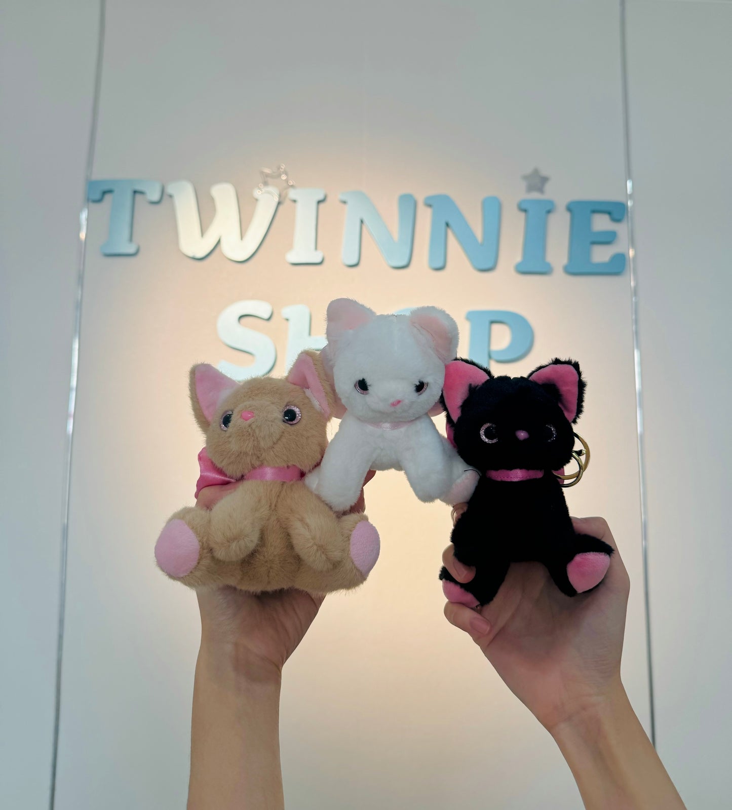 KEY | Ribbon cat keychain