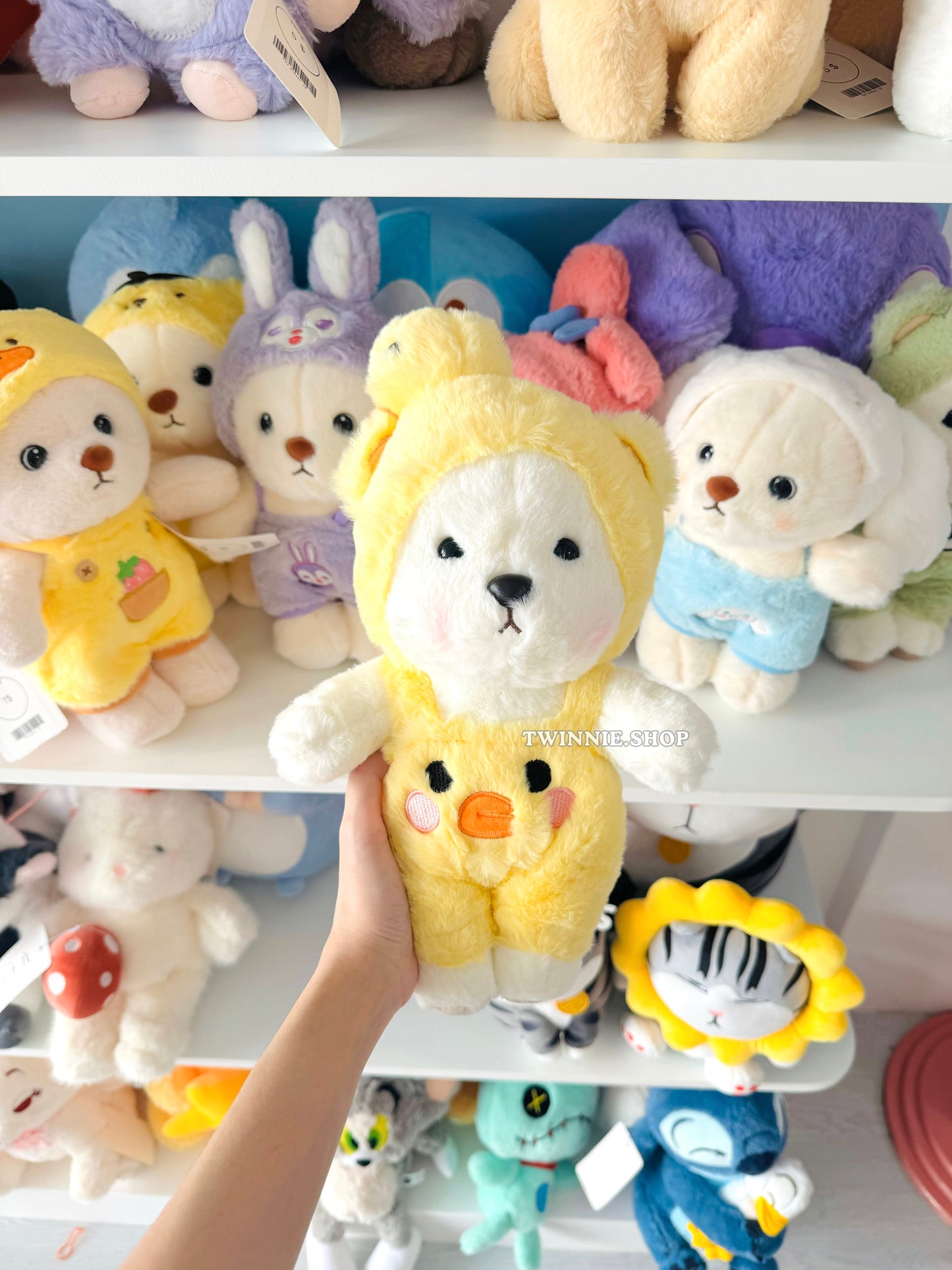 SD | Colorful bear