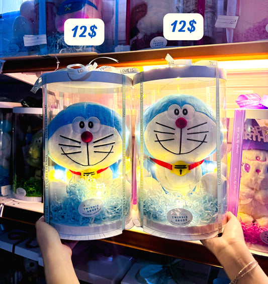 SRB12 | Doreamon gift box