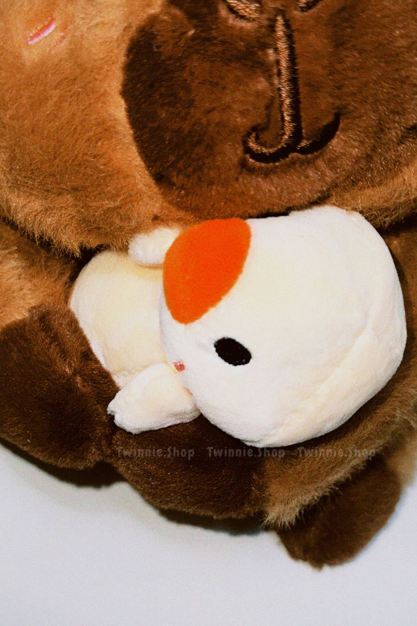 SD | Ducky capybara