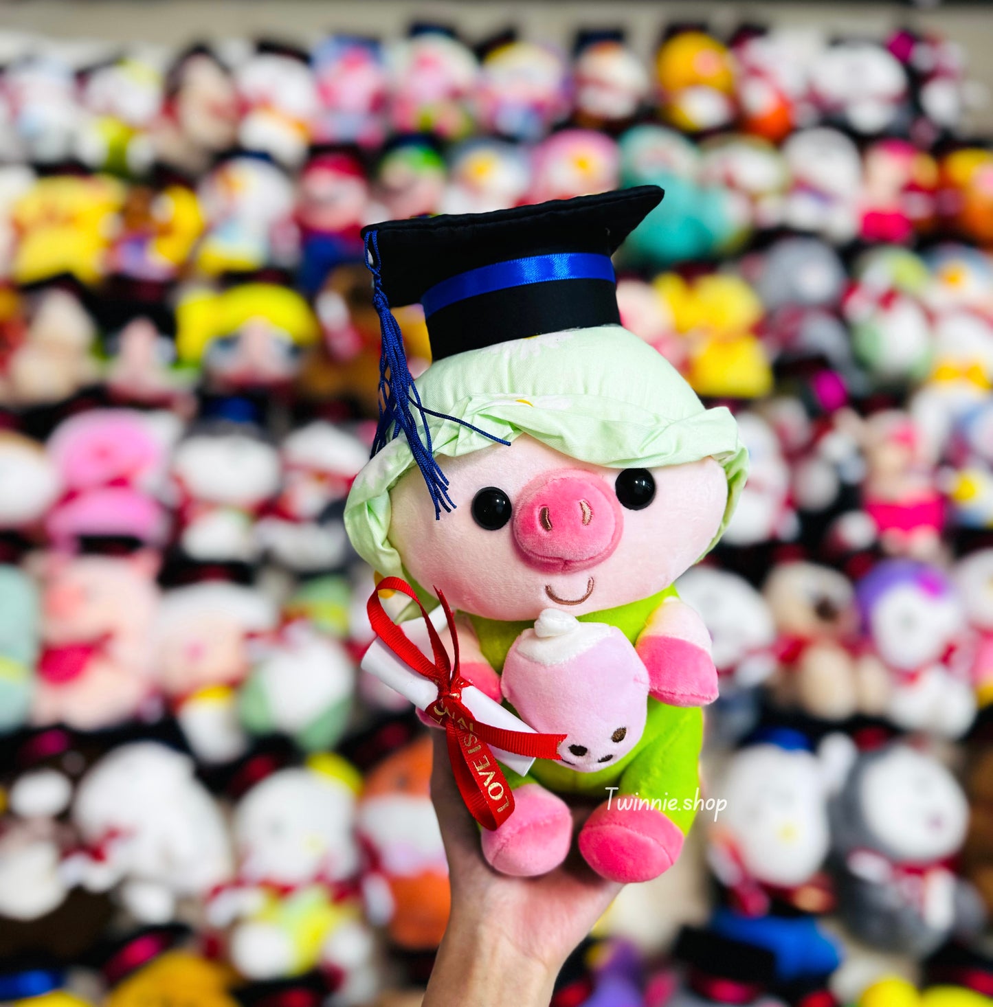 GRASD | Graduate Teddy