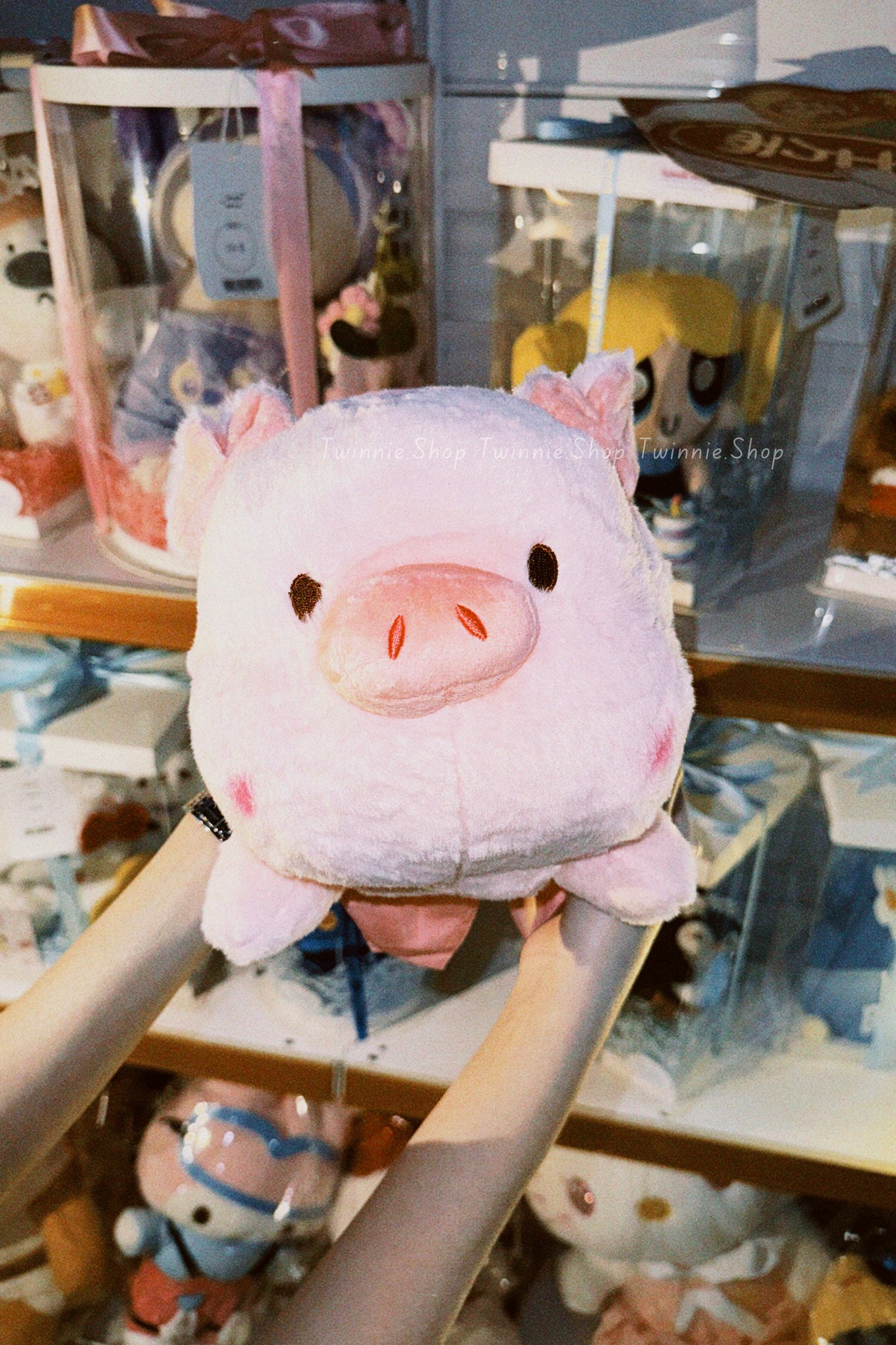 SD | Sleeping ribbon pig