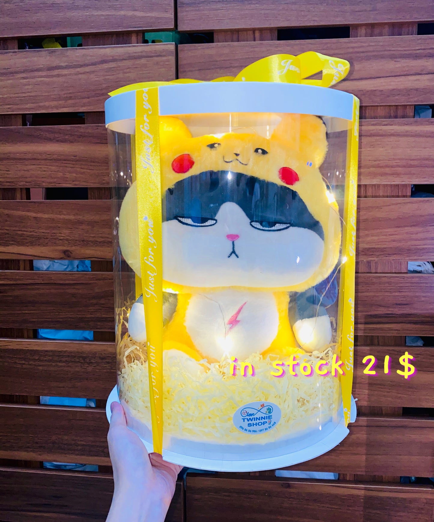 BB | Teddy shirt cat gift set