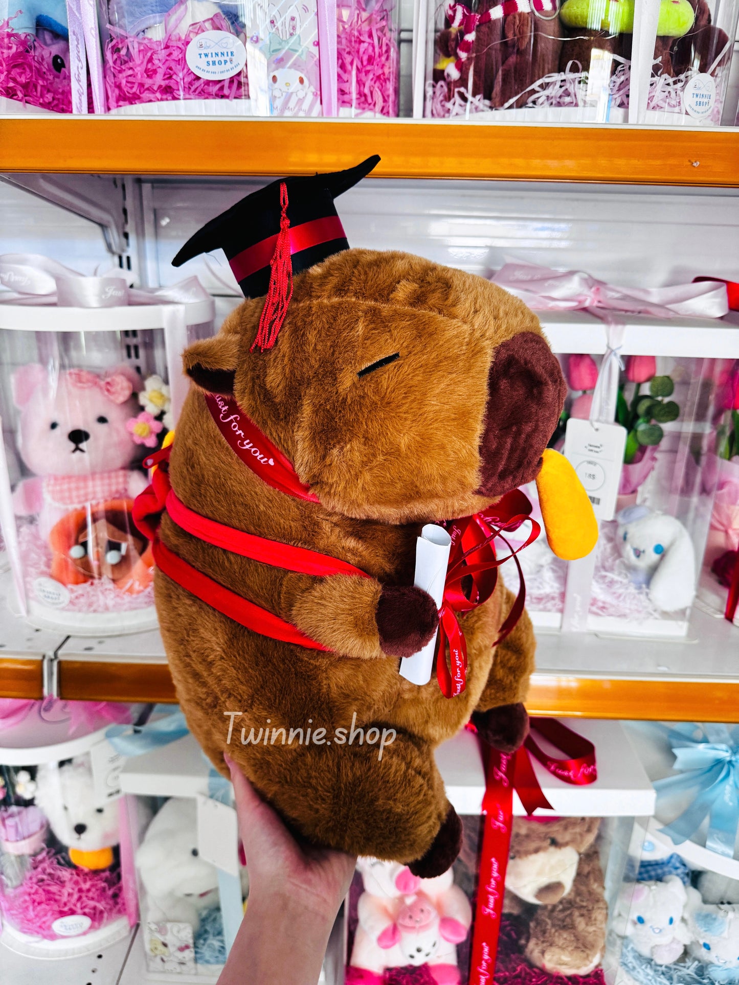 GRA | graduate capybara