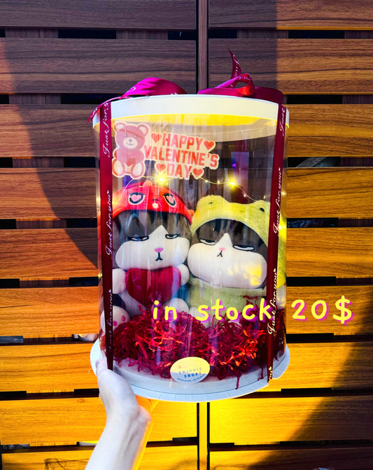 VLT | Couple moody cat gift set