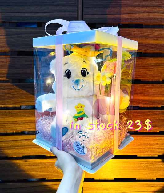PCB | Care bear princess box