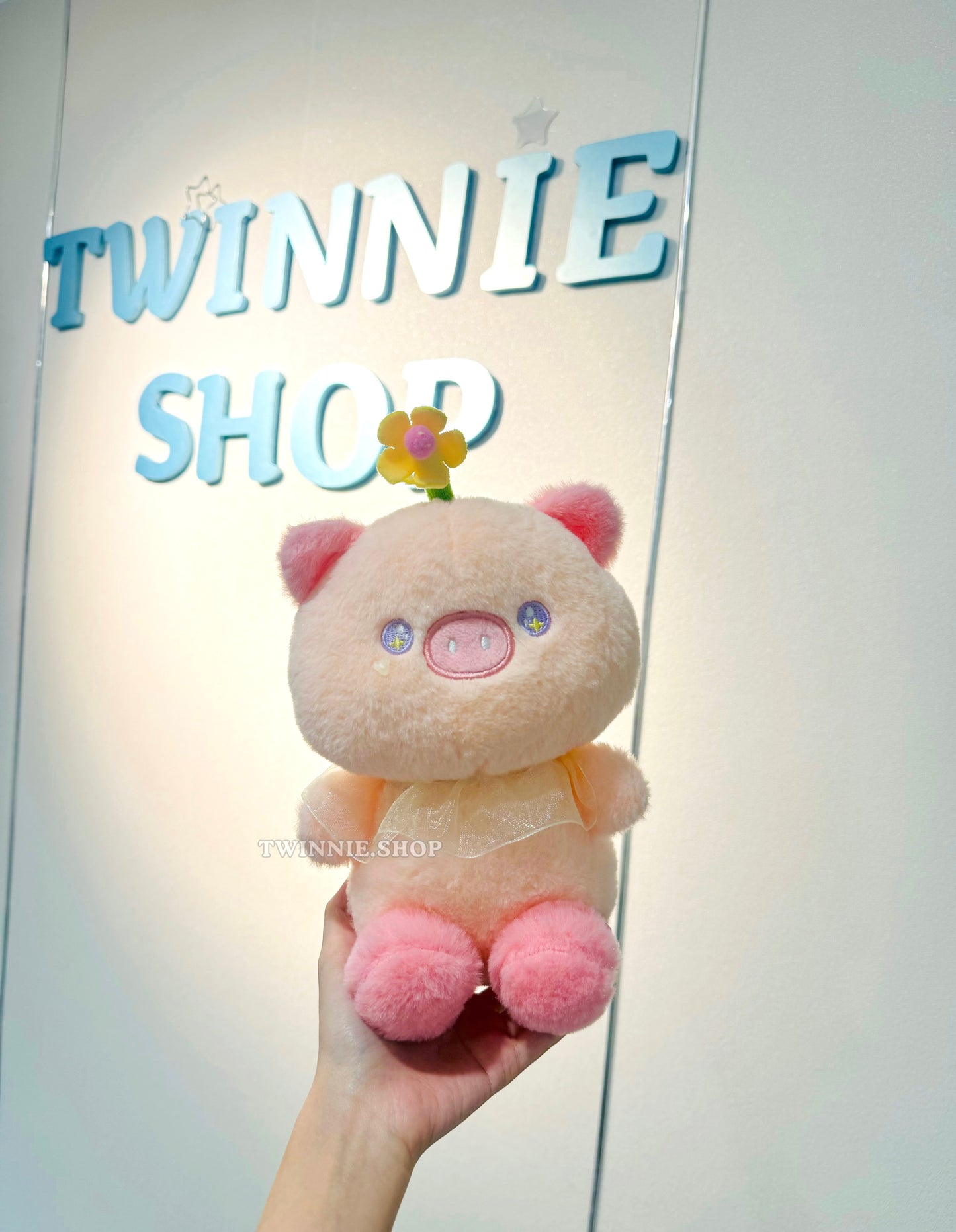 SD | Sunflower pig