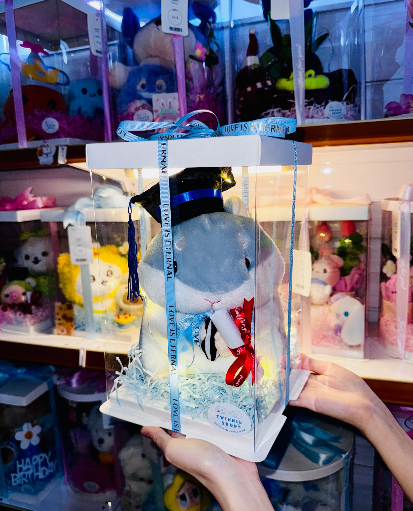 GRA | Graduate hamster set