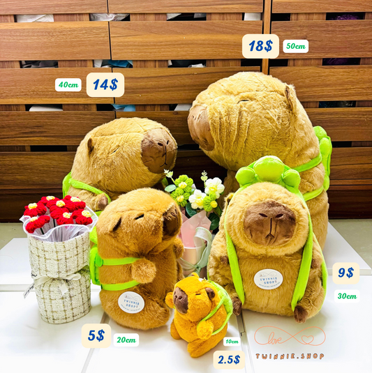 BT | Capybara turtle
