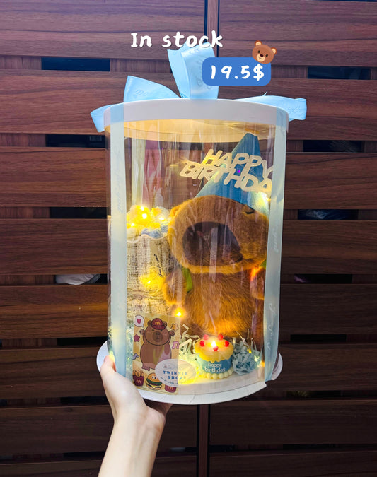 BD18 | capybara cake birthday set