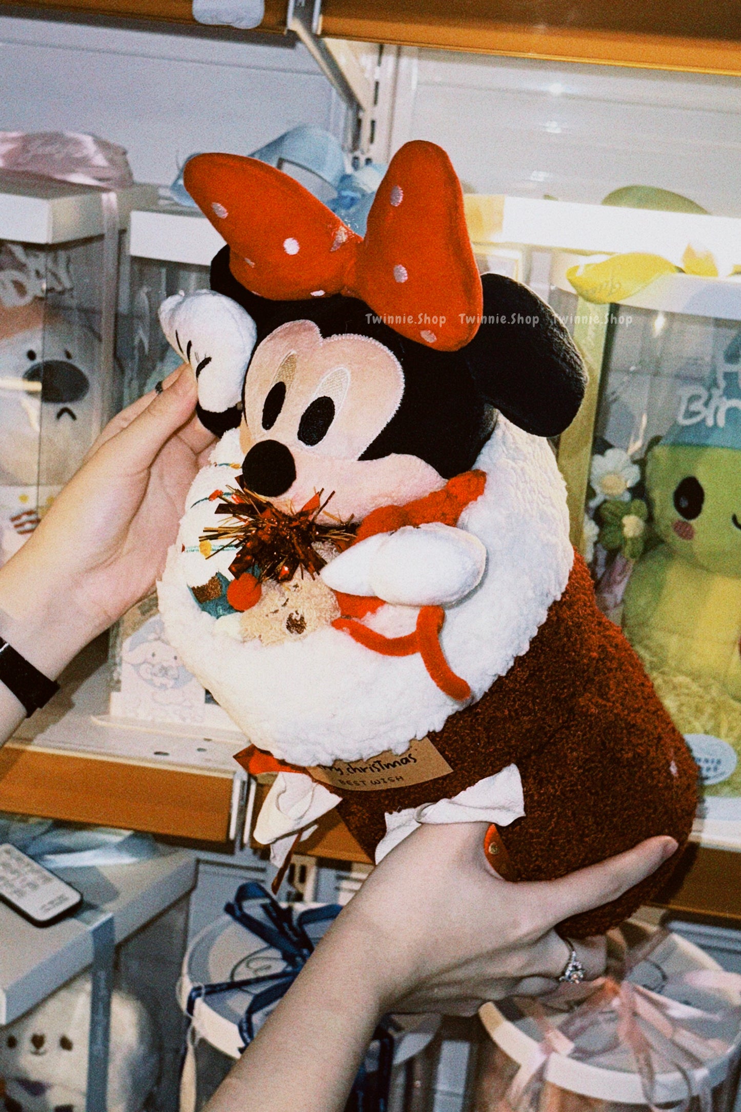 FW | Mickey Mouse flower