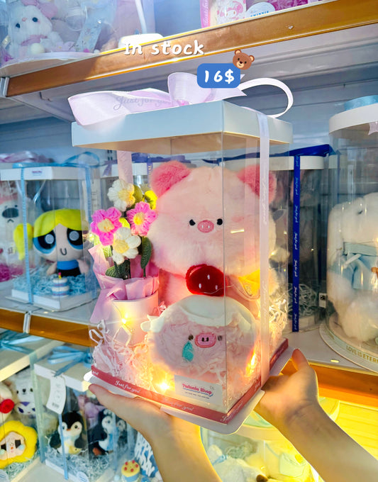 HB16 | Piggy gift set