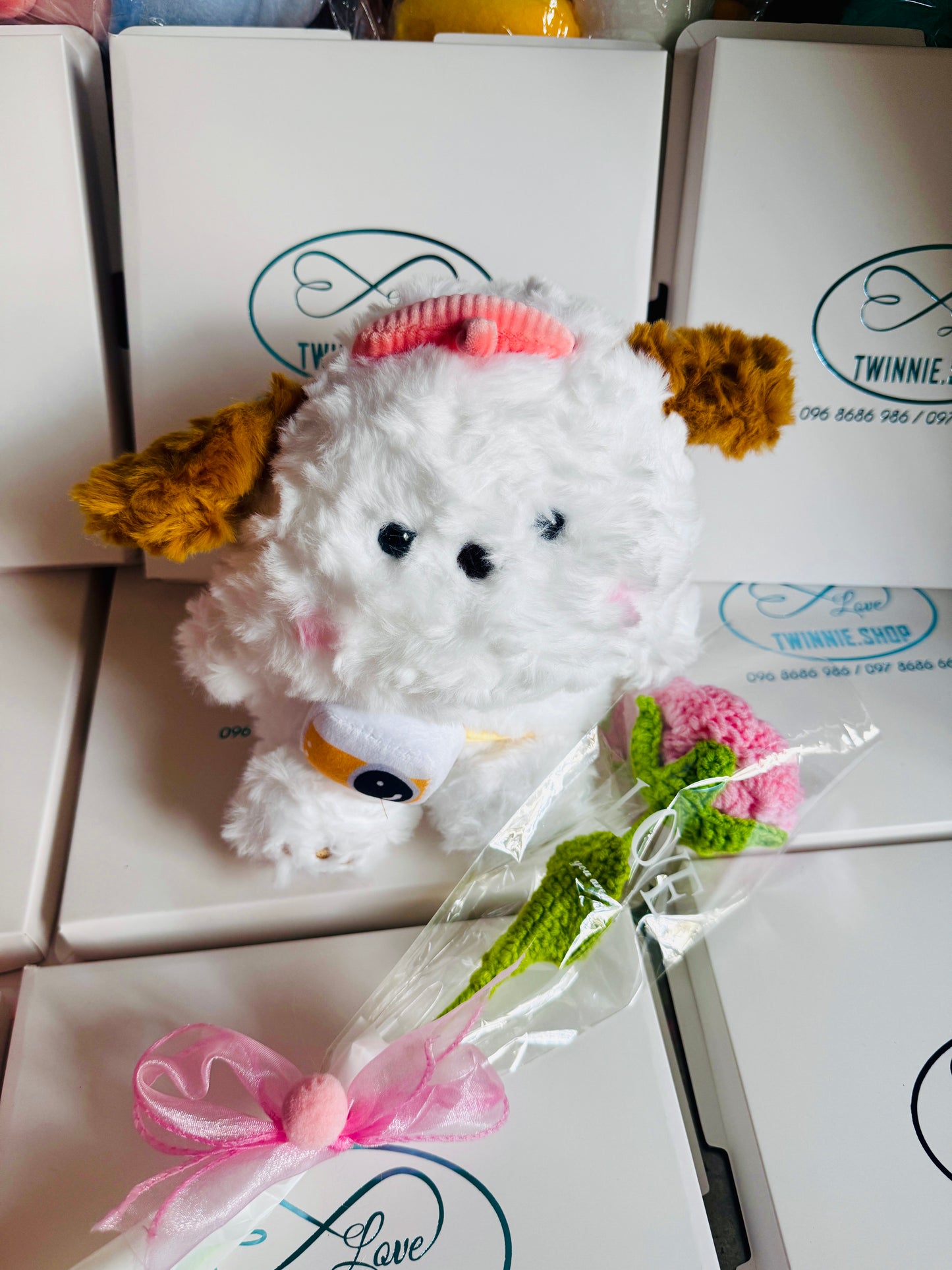 SD | White puppy