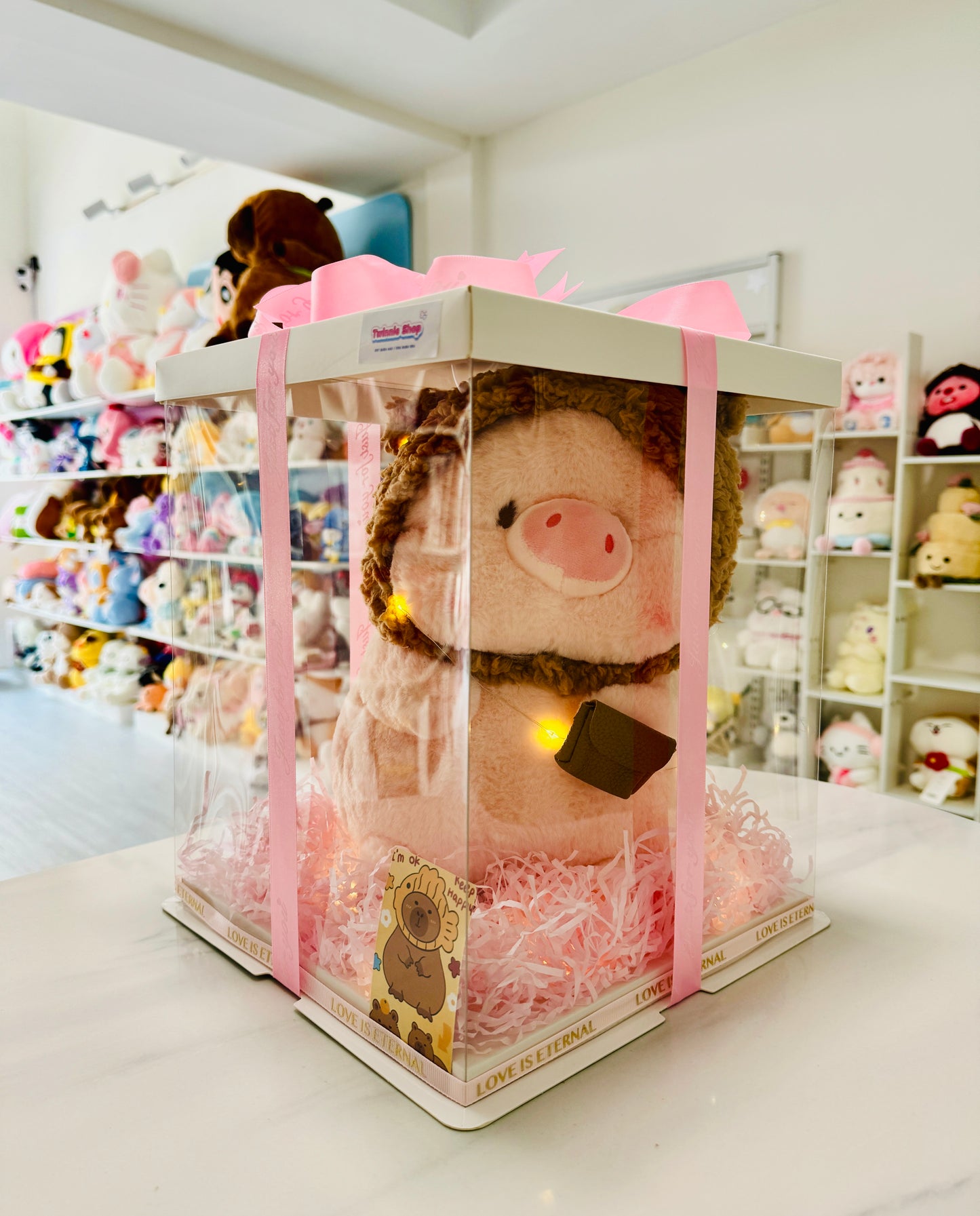 BB | Piggy gift box
