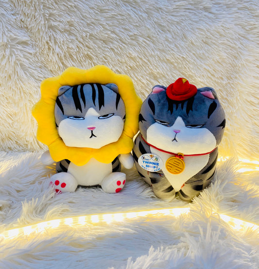 SD | Moody cat