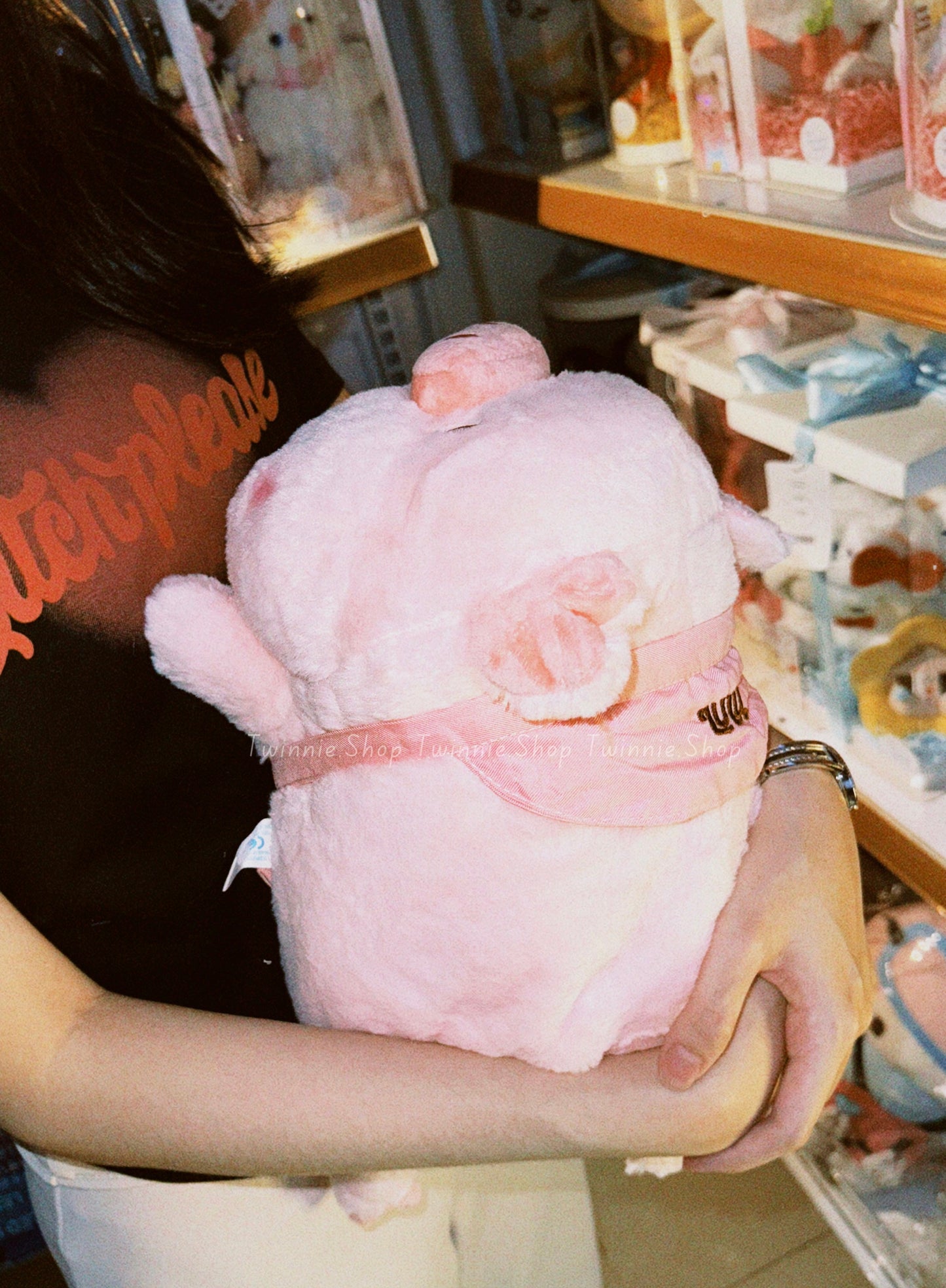 SD | Sleeping ribbon pig