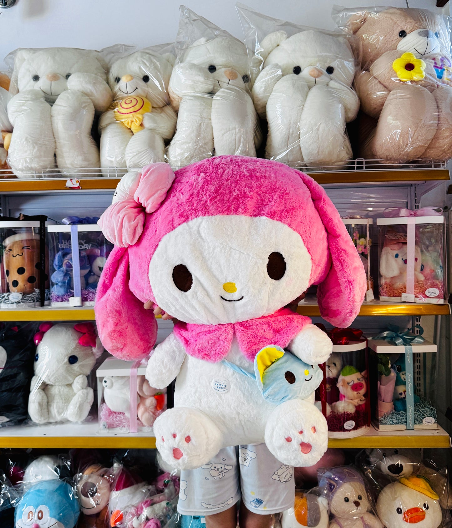 BT | Sanrio 80cm