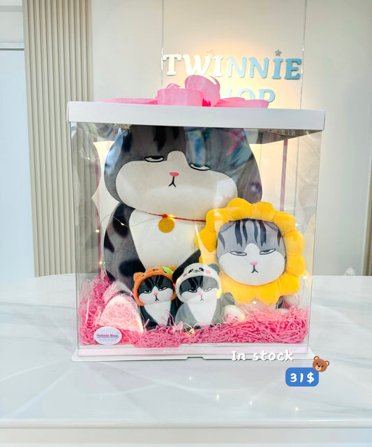 BB | Moody cat family gift box