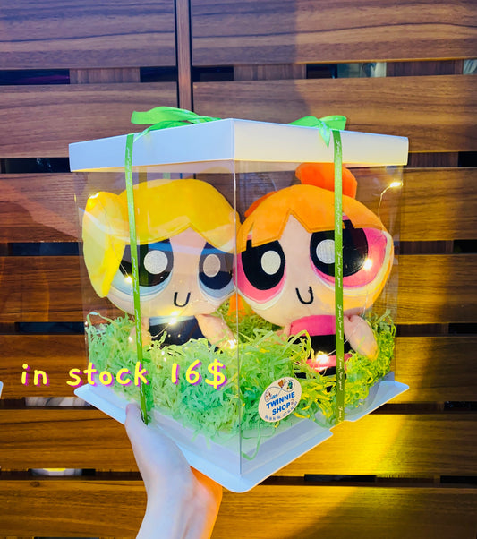 CPB | Power Puff Girl couple set