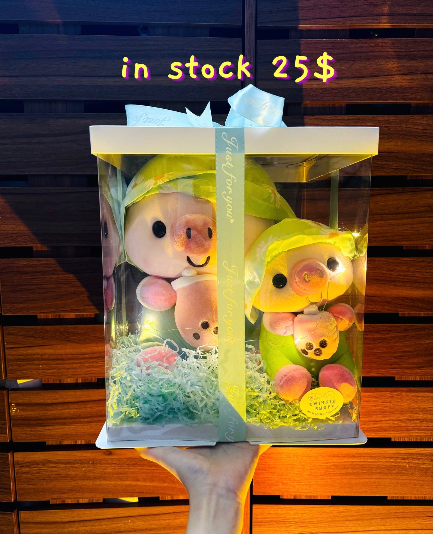 BB | Piggy mix teddy set