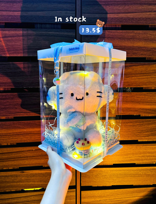 SRBC | Music cat mix cake box