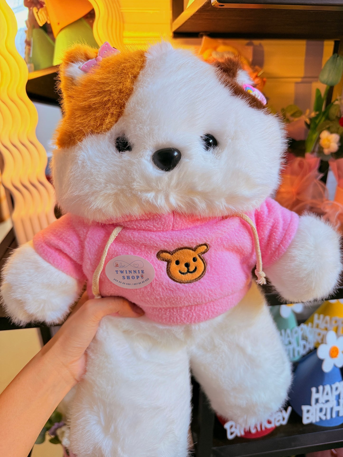 BT | Cute cat