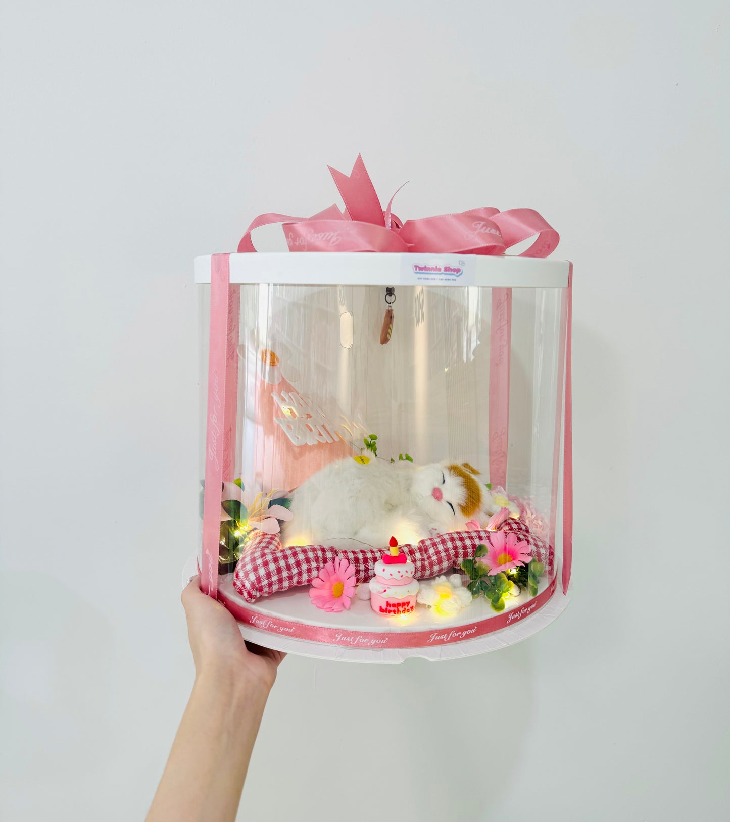 BD | Sleep cat birthday flower set