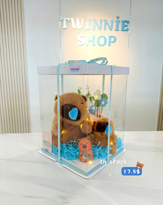 SRBM | Capybara mix gift set