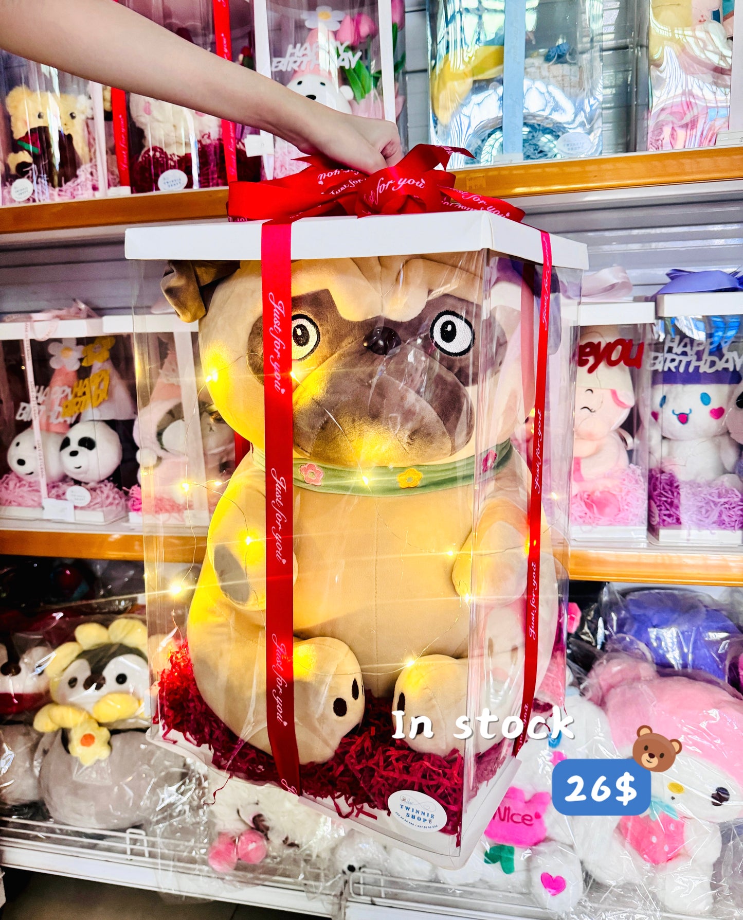BB | Pug gift set