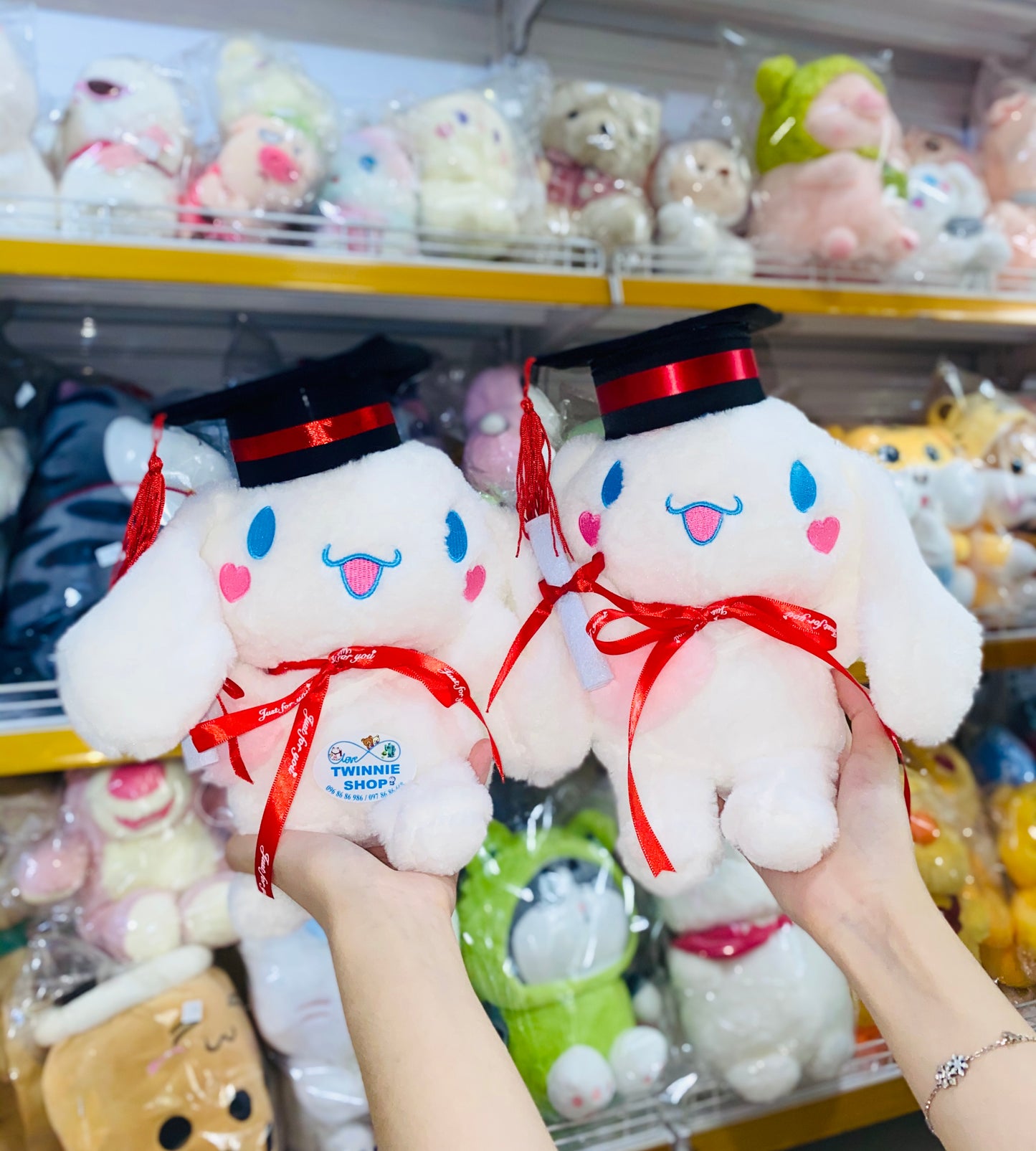 GRA | graduate cinamoroll