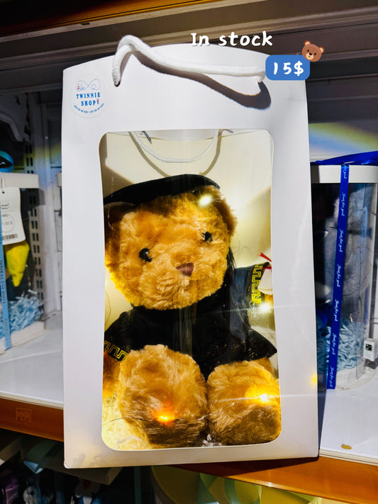 GRA | Brown Bear gift bag