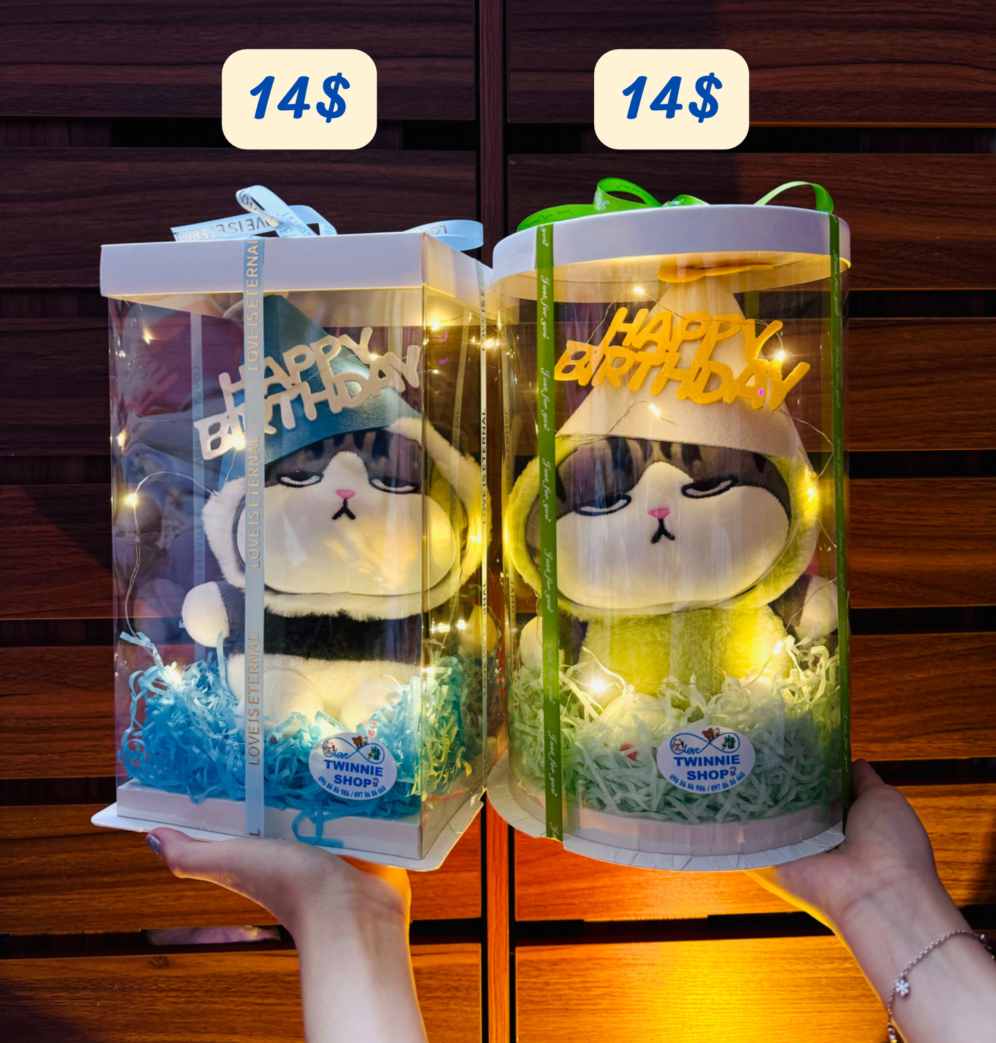 SRBBD | cat birthday box skin cat