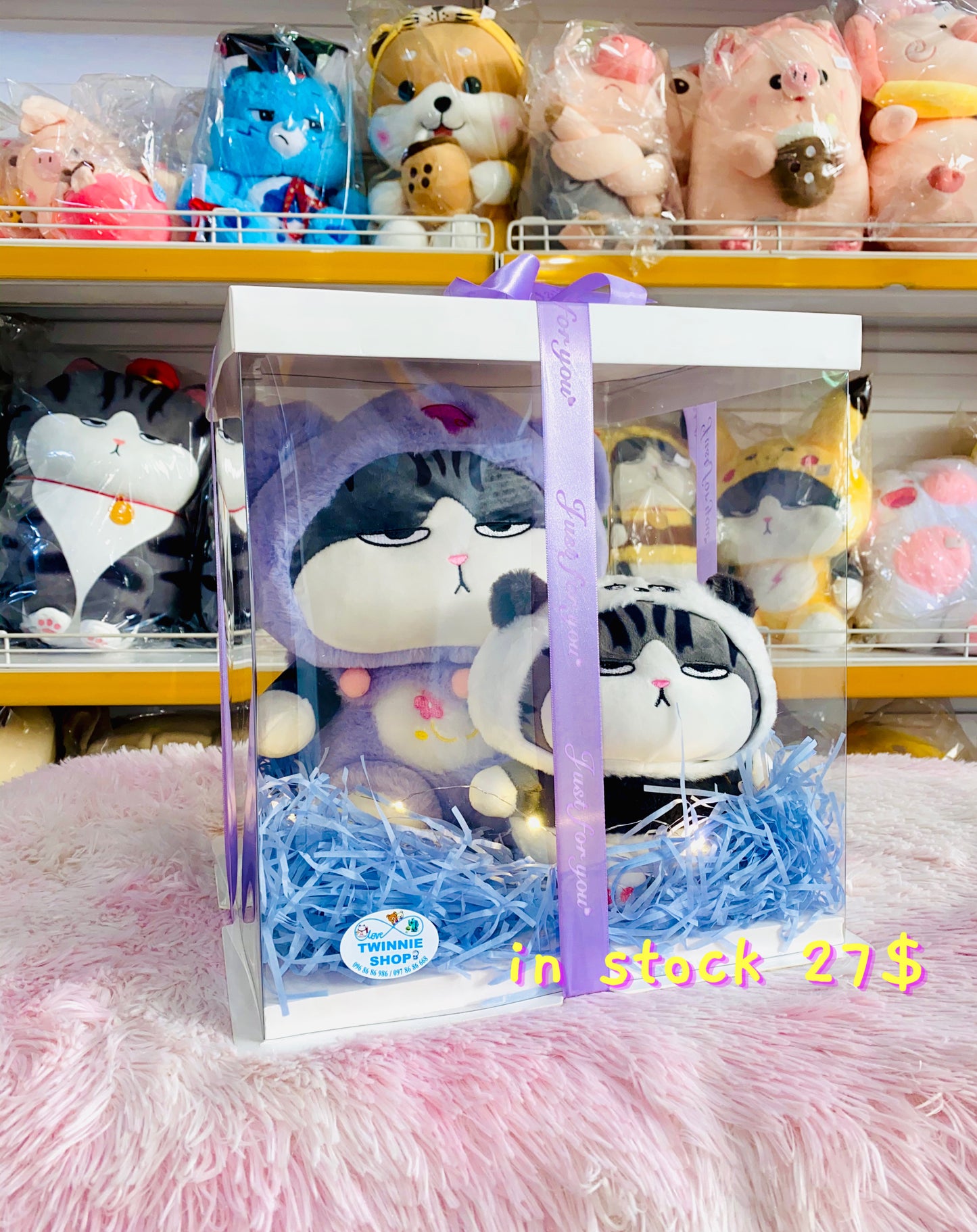 BB | Cat mix teddy set