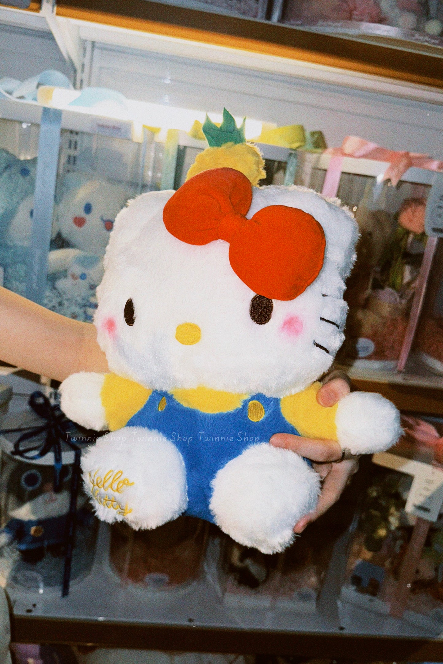BT | Pineapple kitty