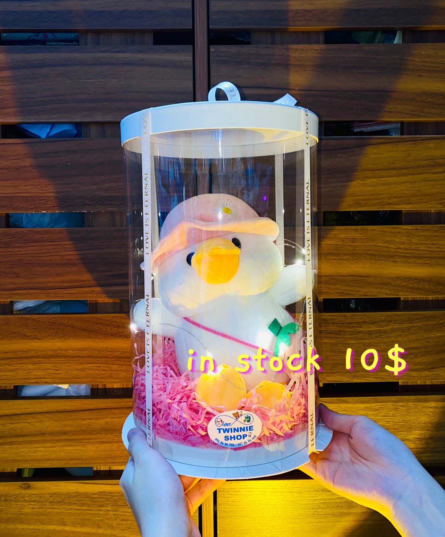 SRB10 | Ducky mini box
