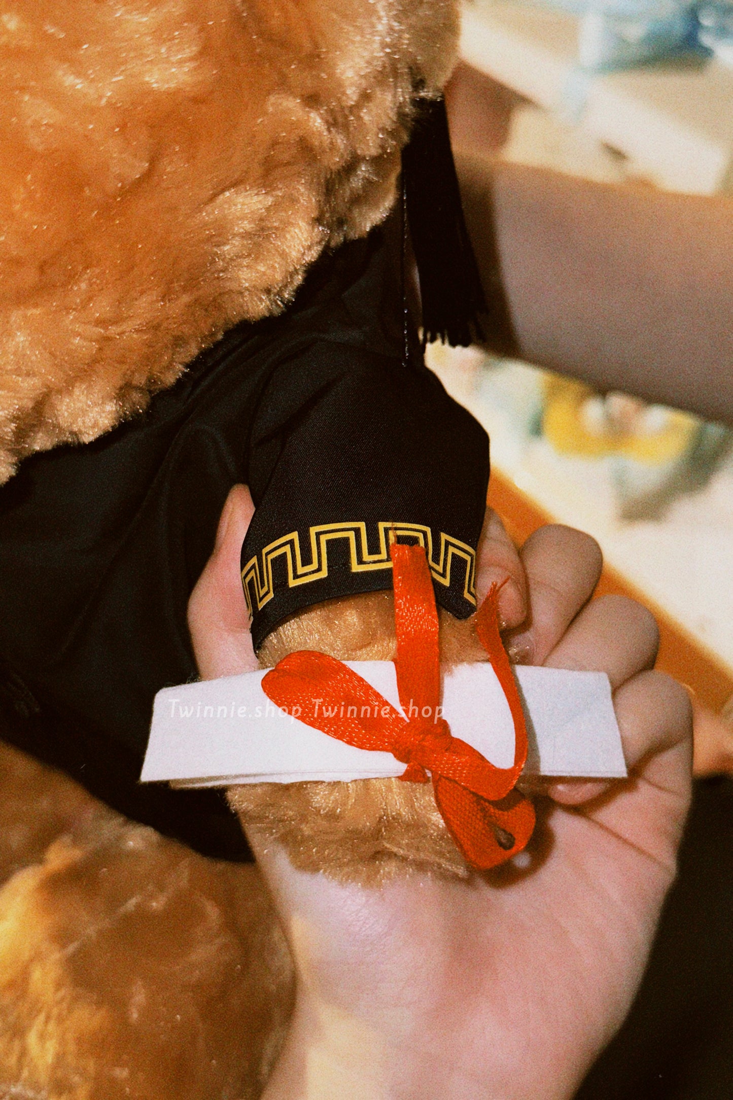 BT | Graduate brown bear