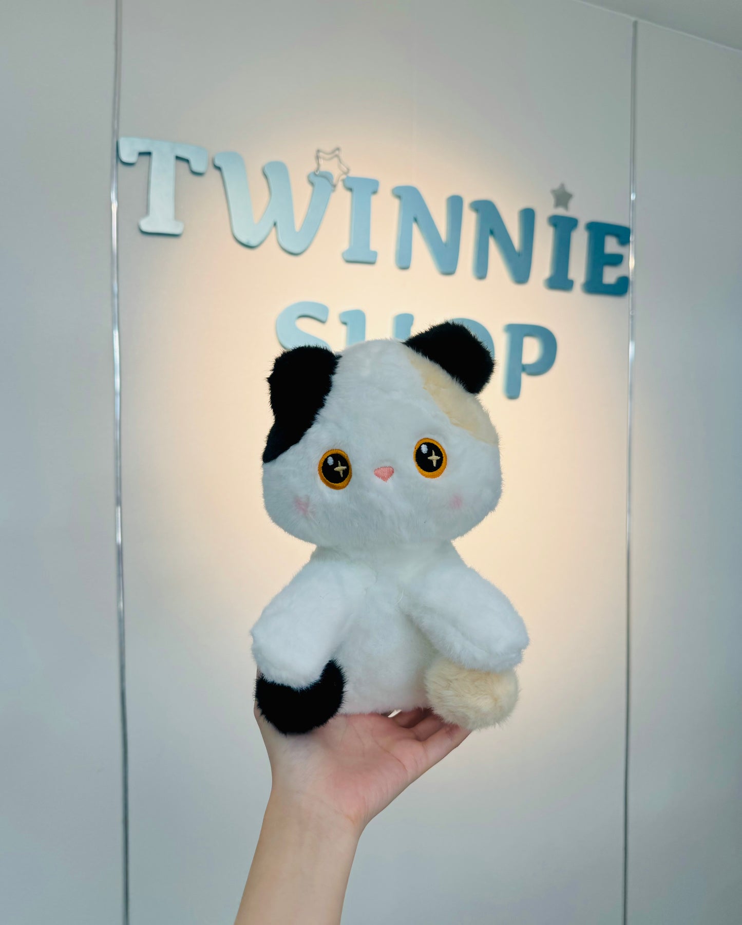 SD | Cute cat