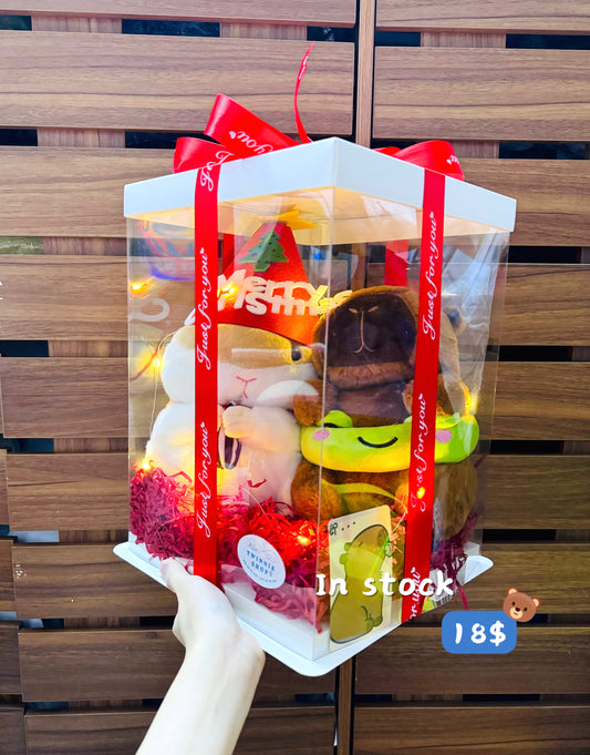 Xmas | Brown Red couple set