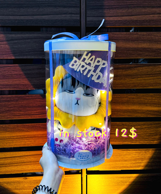 SRBBD | sunflower cat birthday box