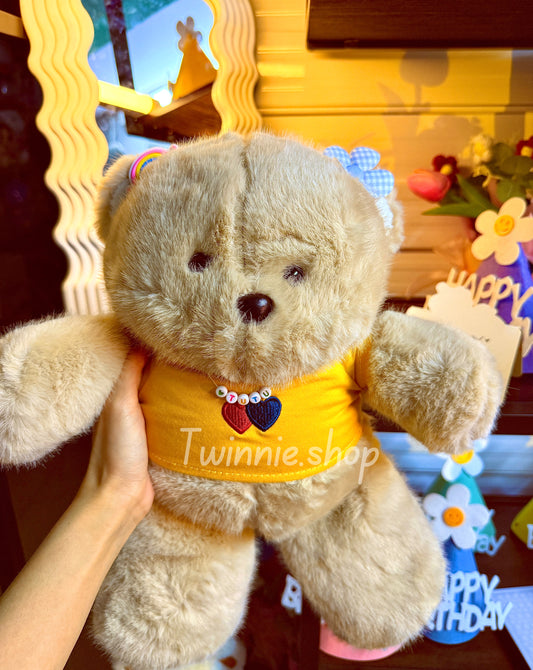 BT | Brown Bear