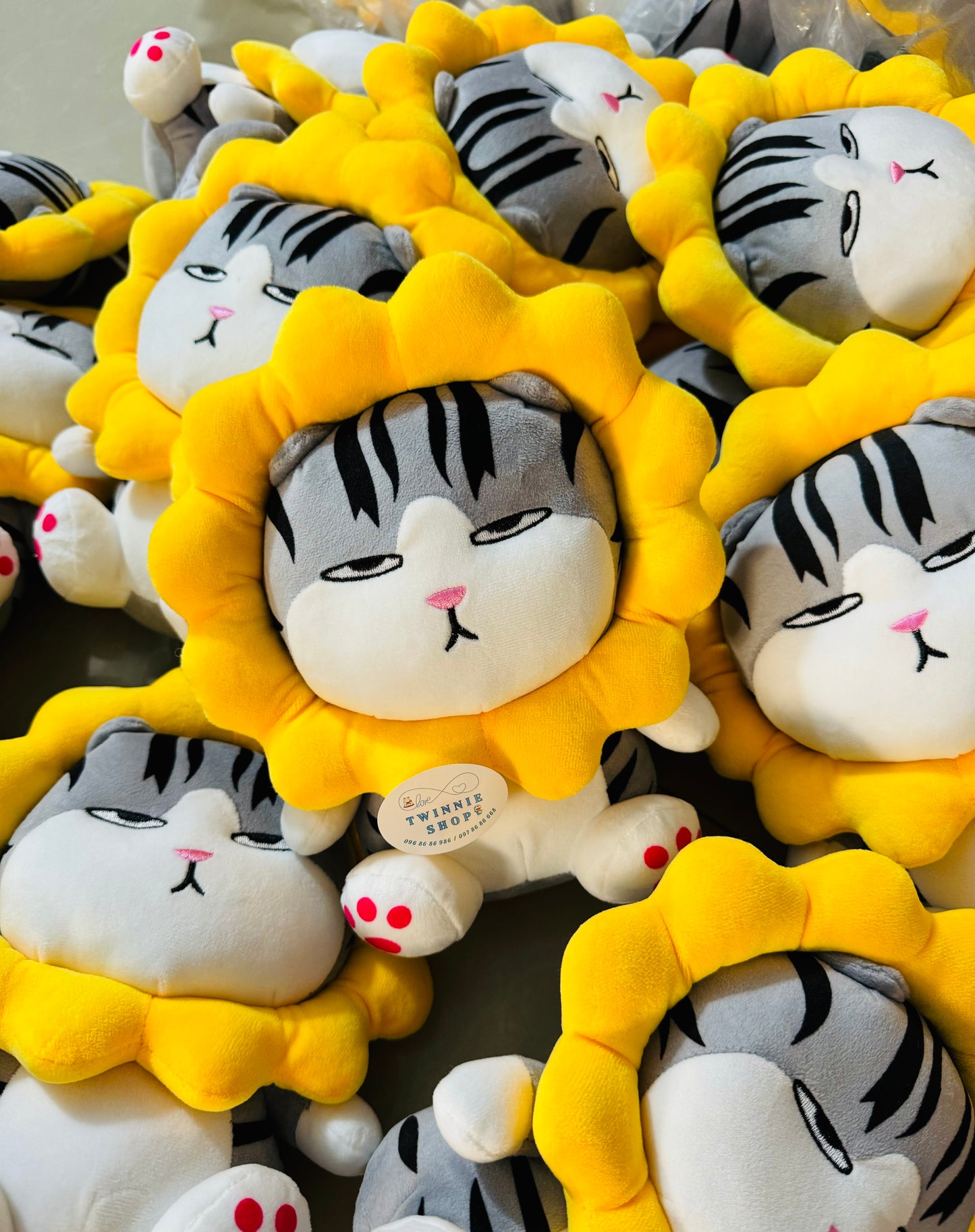 SD | Sunflower cat