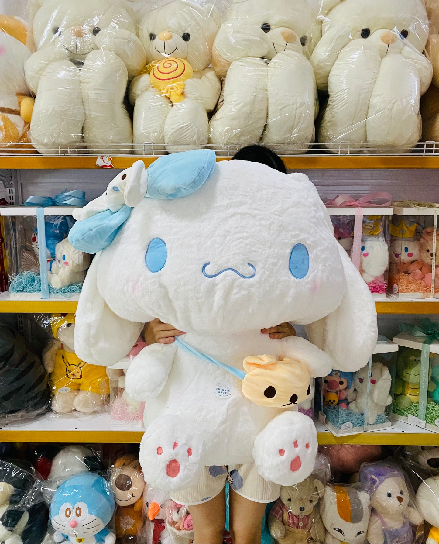 BT | Sanrio 80cm