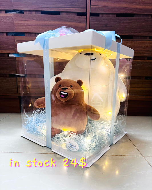 BB | Ice bear mix set