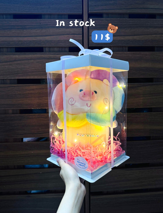 SRB10 | rainbow gift box