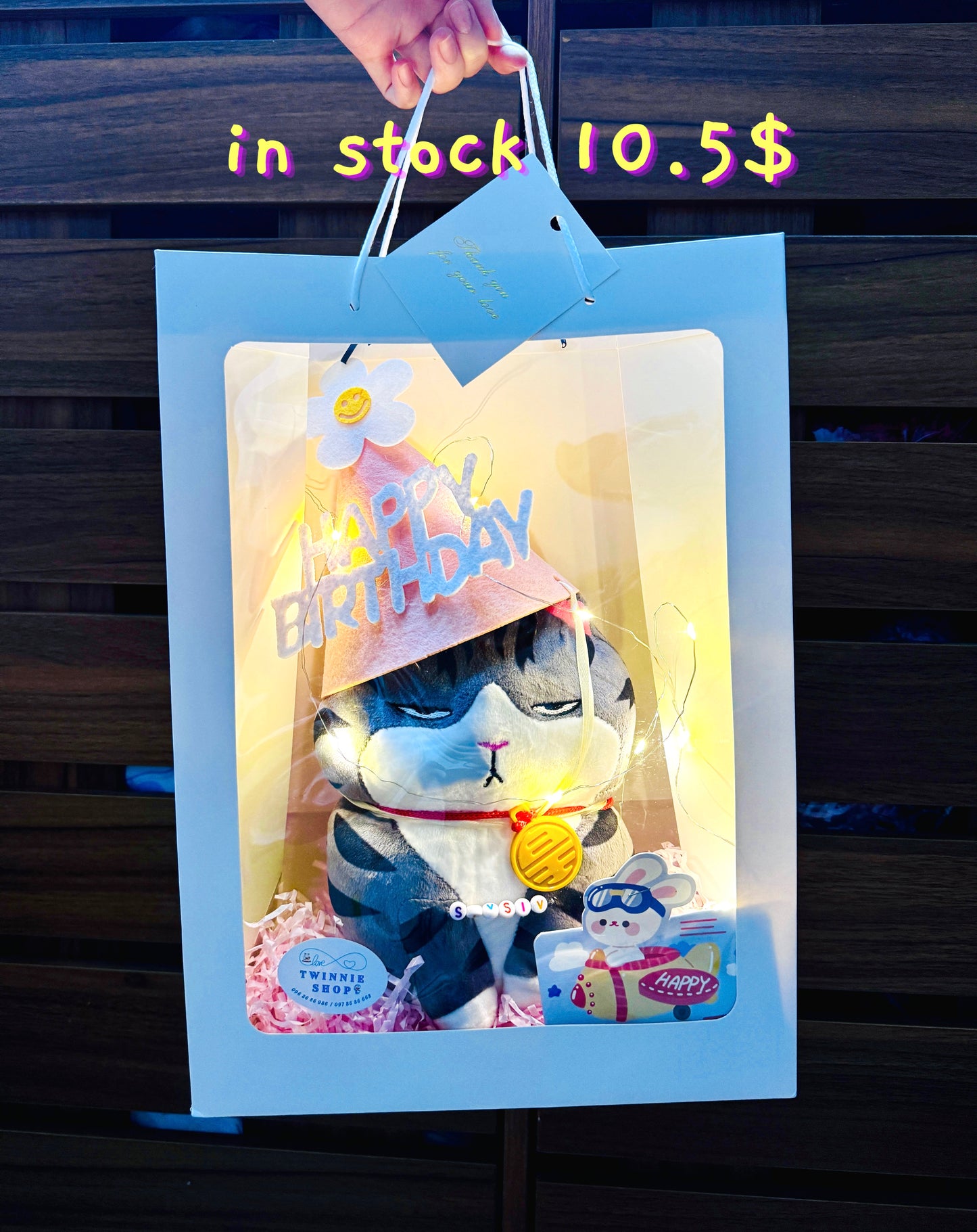 BD | Cat birthday gift bag
