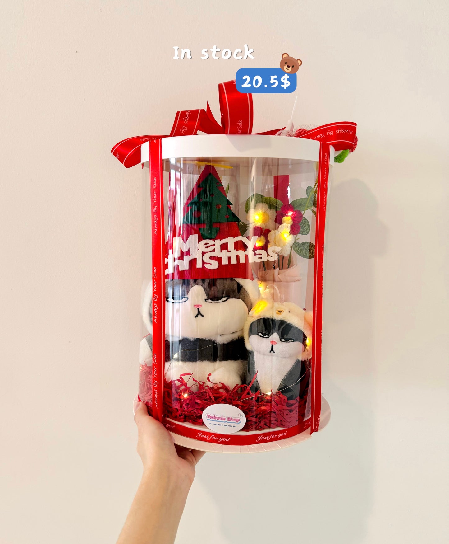Xmas | Panda Cat Christmas set