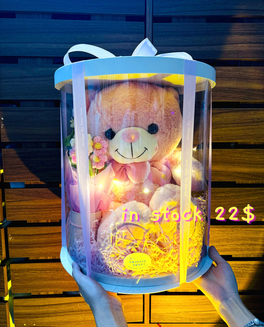 BB | Normal bear gift set