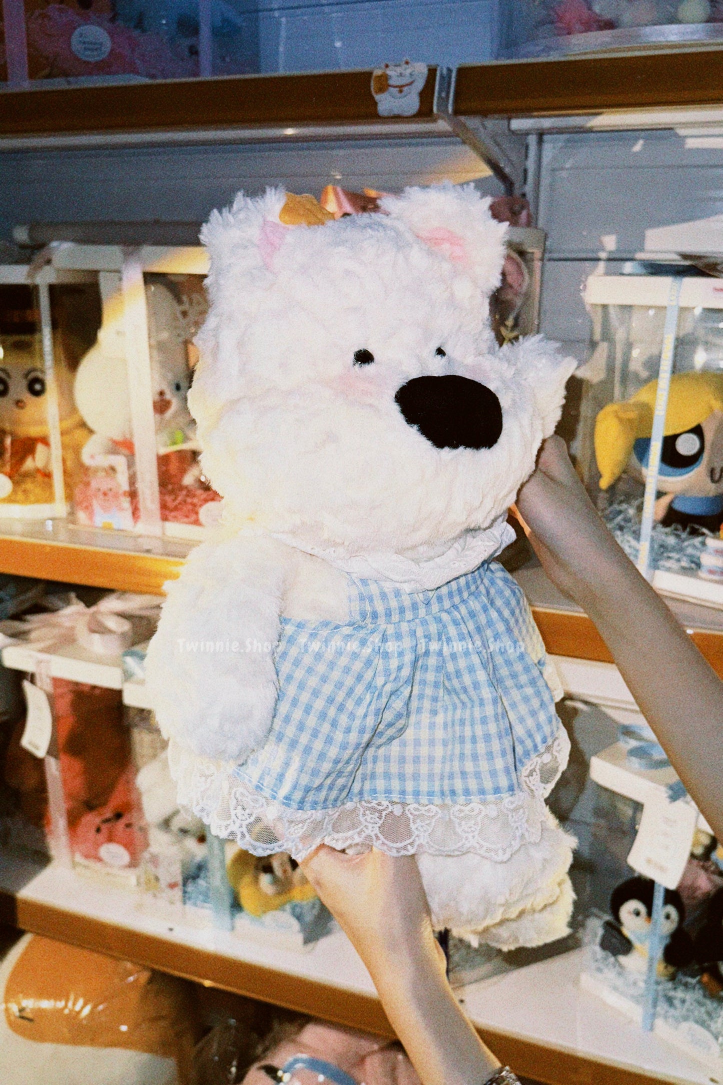 BT | Dress Star puppy